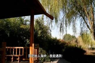 今生爱的就是你-龙泽雨