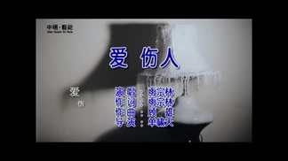 爱·伤人-雨宗林