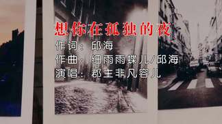 想你在孤独的夜-郡主非凡容儿