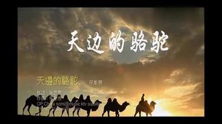 天边的骆驼封面