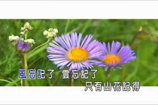 山花记得-谢旦