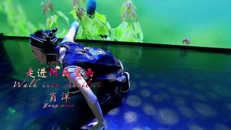 走进阿西里西-肖洋