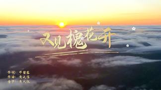 又见槐花开-谭薇薇
