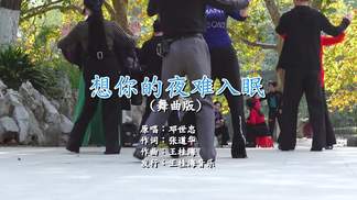 想你的夜难入眠-邓世忠