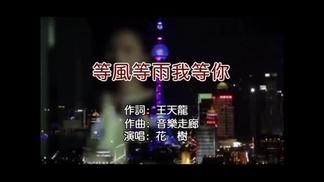 等风等雨我等你封面