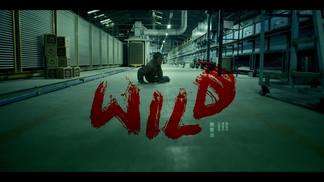 WILD-萧秉治(廷廷)