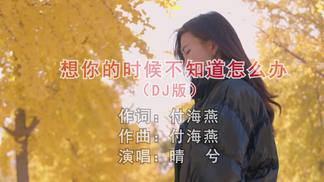 想你的时候不知道怎么办（DJ版）-晴兮