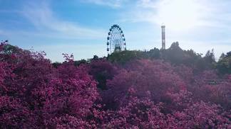 爱如画-天籁天