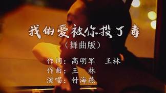 我的爱被你投了毒（舞曲版）-付海燕