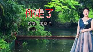 你走了-彭燕飞