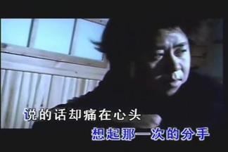 你说过的话让我心疼(音乐版)-张振宇