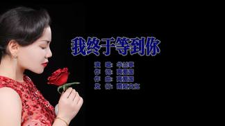 我终于等到你-华兰草