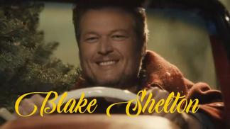 You Make It Feel Like Christmas-Gwen Stefani&Blake Shelton