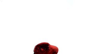 HIGANBANA-AnJu