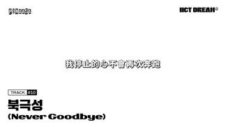 北极星 (Never Goodbye)-NCT DREAM
