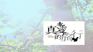真爱的旅行-林绫