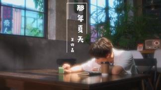 那年夏天