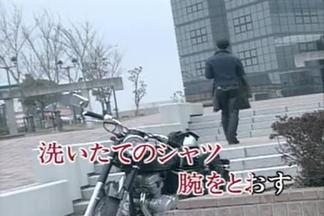 煌めく瞬间に捕われて-日本群星