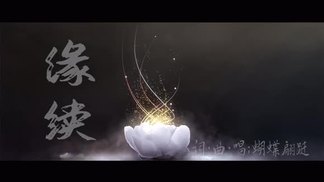 缘续-蝴蝶翩跹