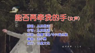 能否再牵我的手（女声）-丛林思语