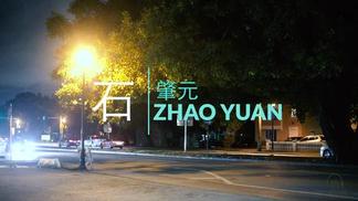 我要带你到处去飞翔