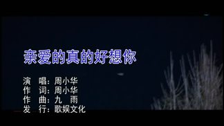 亲爱的真的好想你-周小华