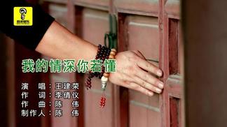 我的情深你若懂封面