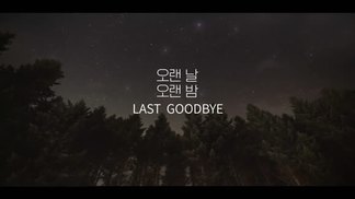 Last Goodbye-AKMU