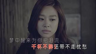 伴你渡红尘