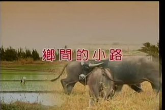 乡间的小路封面