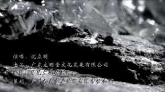 无言的爱-沈立明