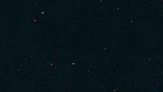 写给小王子的-新裤子