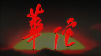华佗-Hua Tuo-GAI周延