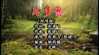几多愁（对唱版）-彭燕飞&张晓飞