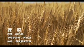 麦浪-黄立杰