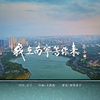 我在南宁等你来-杨西音子