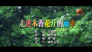 走进木香花开的雨季-阿影