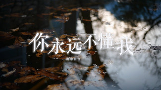 你永远不懂我封面