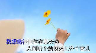 我想做神仙儿
