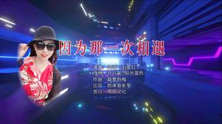 因为那一次相遇-风语