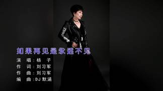 如果再见是永远不见-杨子