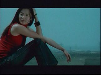 愚昧-张柏芝