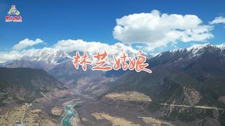 林芝姑娘-欧宣如