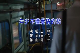 年少不懂爱情的愁-王峰