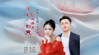 消失在网海里的人（对唱版）-孙晶&汪志祥