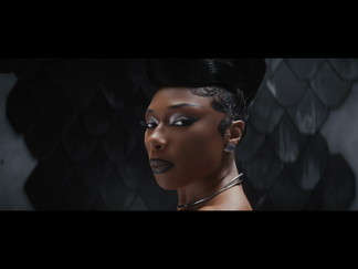 Cobra-Megan Thee Stallion