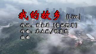 我的故乡 (cover: 闫友平)-时光静美