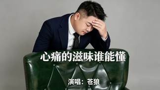 心痛的滋味谁能懂（男声版）-苍狼
