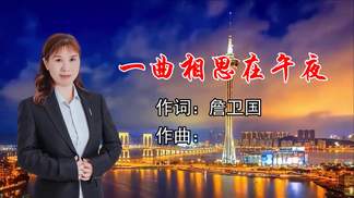 一曲相思在午夜（深情版）-詹卫国&宋金贵