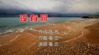 没有网络的爱-田娥&陈芳